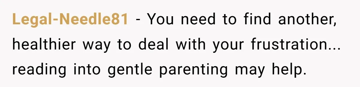 Legal-Needle81 − You need to find another, healthier way to deal with your frustration... reading into gentle parenting may help.