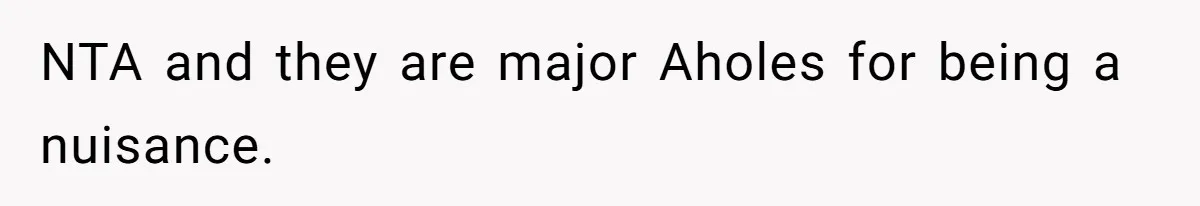 NTA and they are major Aholes for being a nuisance.