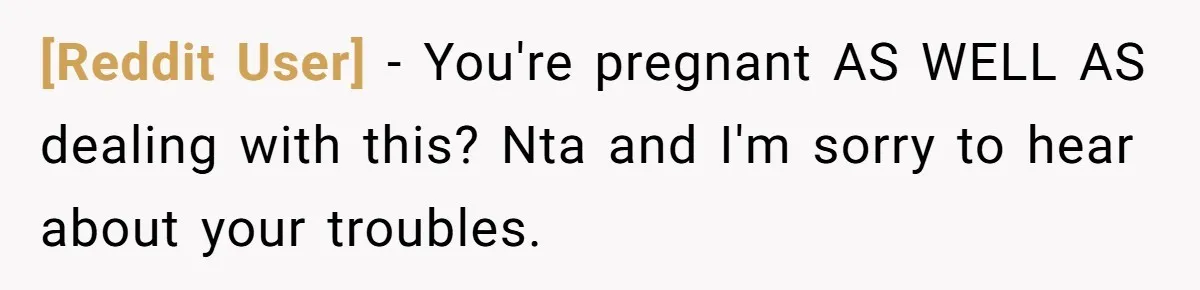 [Reddit User] − You're pregnant AS WELL AS dealing with this? Nta and I'm sorry to hear about your troubles.