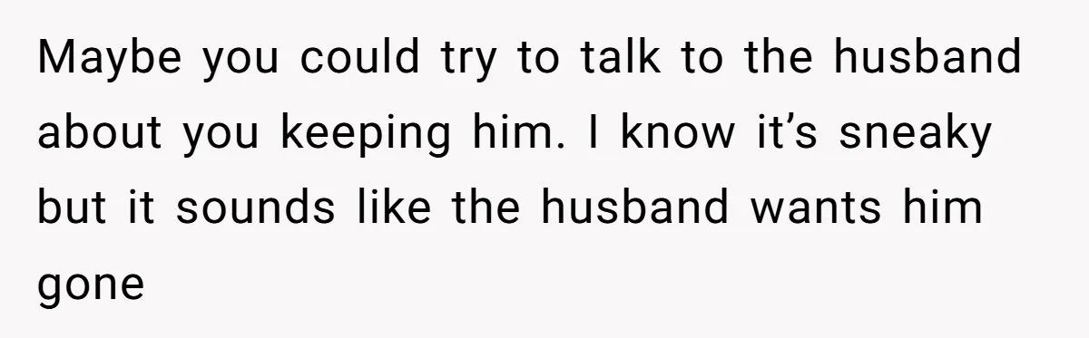 Maybe you could try to talk to the husband about you keeping him. I know it’s sneaky but it sounds like the husband wants him gone