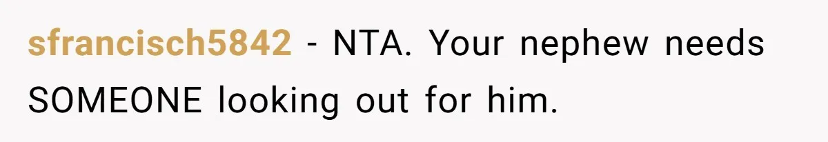 sfrancisch5842 − NTA. Your nephew needs SOMEONE looking out for him.
