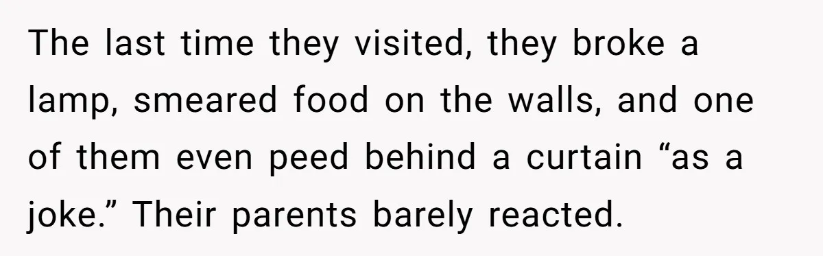 The last time they visited, they broke a lamp, smeared food on the walls, and one of them even peed behind a curtain “as a joke.” Their parents barely reacted.