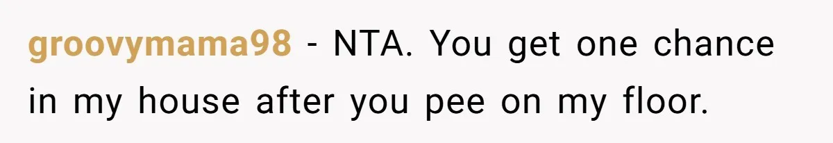 groovymama98 − NTA. You get one chance in my house after you pee on my floor.
