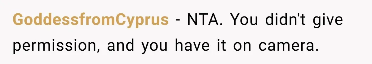 GoddessfromCyprus − NTA. You didn't give permission, and you have it on camera.