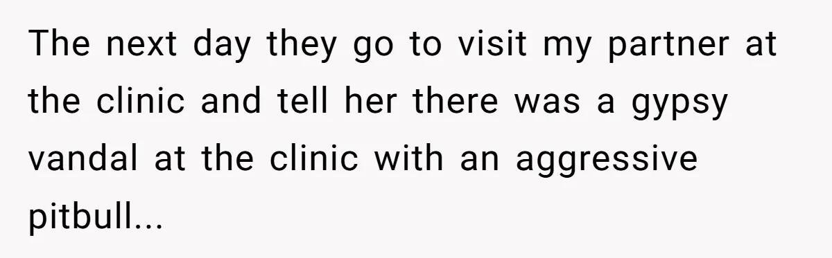 The next day they go to visit my partner at the clinic and tell her there was a gypsy vandal at the clinic with an aggressive pitbull...