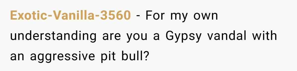 Exotic-Vanilla-3560 − For my own understanding are you a Gypsy vandal with an aggressive pit bull?
