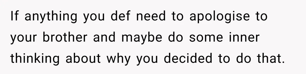 If anything you def need to apologise to your brother and maybe do some inner thinking about why you decided to do that.