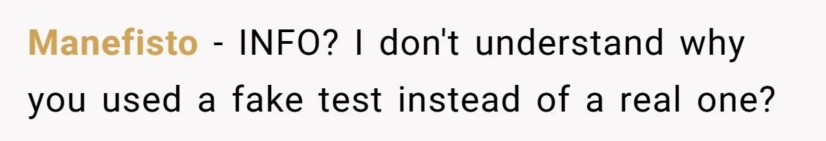 Manefisto − INFO? I don't understand why you used a fake test instead of a real one?