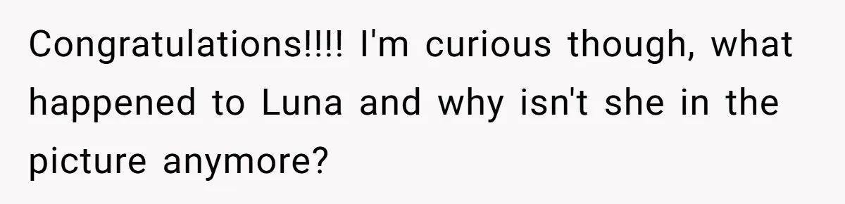 Congratulations!!!! I'm curious though, what happened to Luna and why isn't she in the picture anymore?