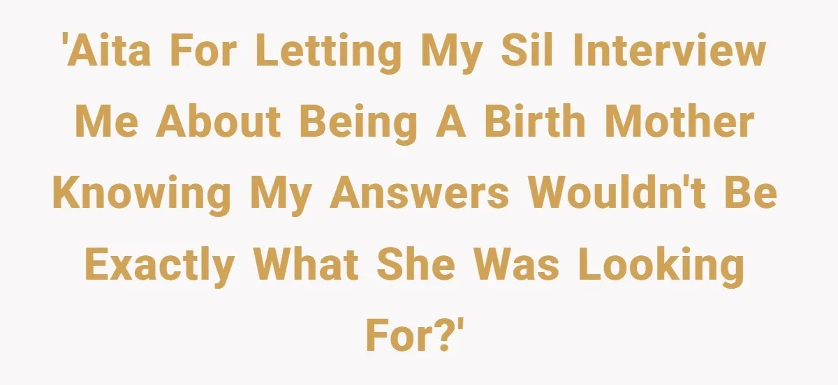 SIL Interviews Birth Mother And Expects A Tragic Adoption Story, Got Brutal Honesty Instead 'AITA for letting my SIL interview me about being a birth mother knowing my answers wouldn't be exactly what she was looking for?'