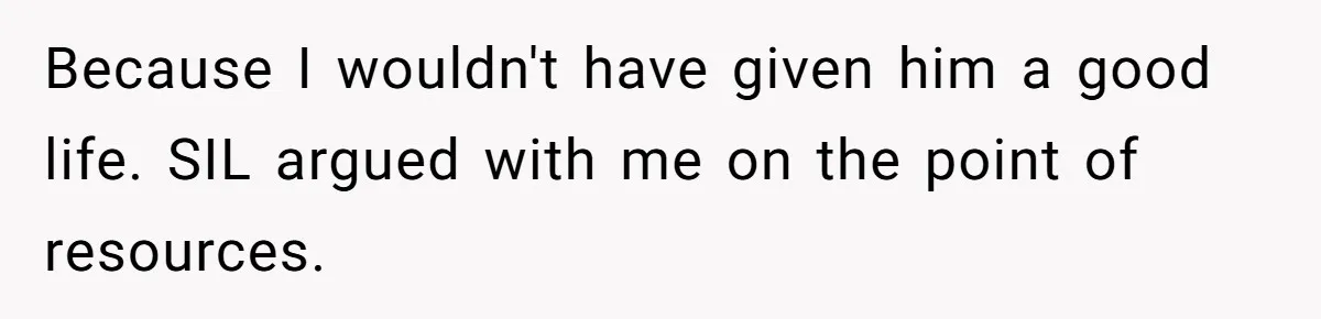 SIL Interviews Birth Mother And Expects A Tragic Adoption Story, Got Brutal Honesty Instead Because I wouldn't have given him a good life. SIL argued with me on the point of resources.