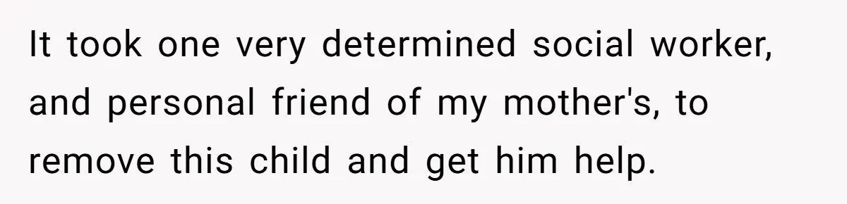 SIL Interviews Birth Mother And Expects A Tragic Adoption Story, Got Brutal Honesty Instead It took one very determined social worker, and personal friend of my mother's, to remove this child and get him help.