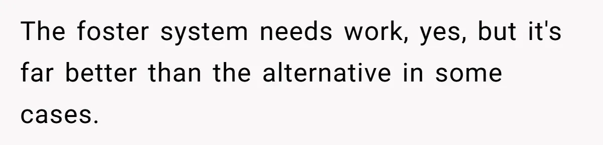 SIL Interviews Birth Mother And Expects A Tragic Adoption Story, Got Brutal Honesty Instead The foster system needs work, yes, but it's far better than the alternative in some cases.
