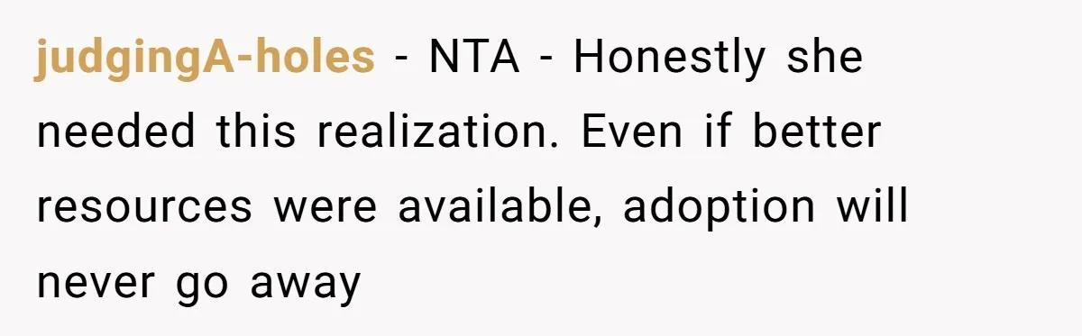 SIL Interviews Birth Mother And Expects A Tragic Adoption Story, Got Brutal Honesty Instead judgingA-holes − NTA - Honestly she needed this realization. Even if better resources were available, adoption will never go away