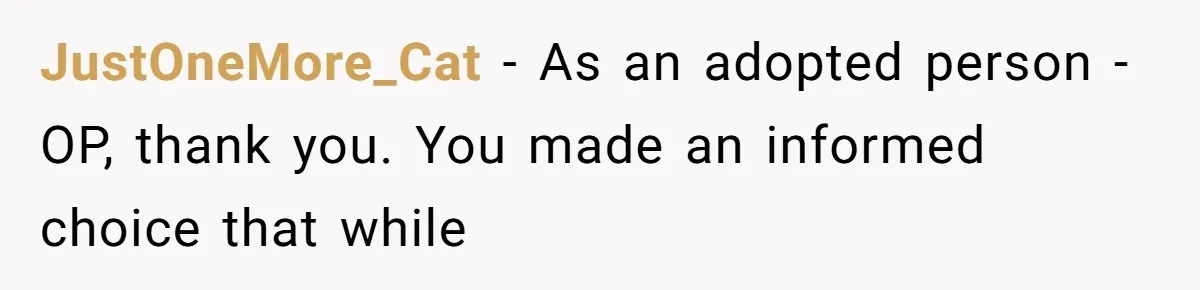 SIL Interviews Birth Mother And Expects A Tragic Adoption Story, Got Brutal Honesty Instead JustOneMore_Cat − As an adopted person - OP, thank you. You made an informed choice that while