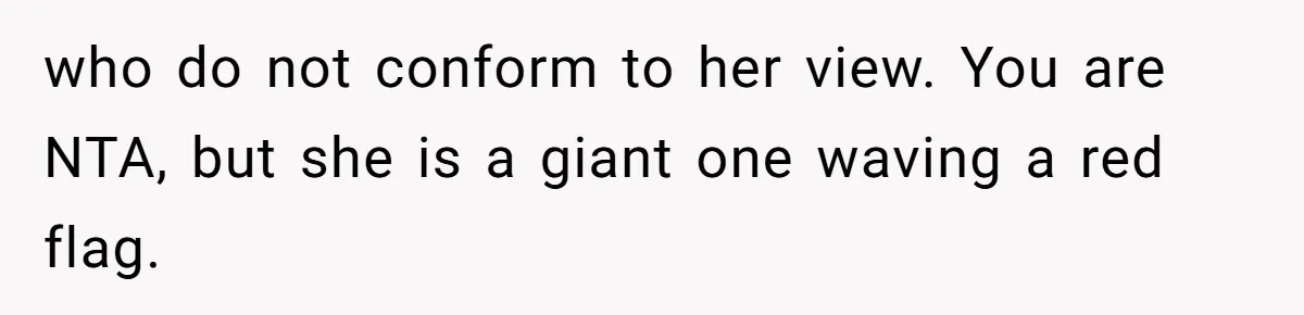 SIL Interviews Birth Mother And Expects A Tragic Adoption Story, Got Brutal Honesty Instead who do not conform to her view. You are NTA, but she is a giant one waving a red flag.