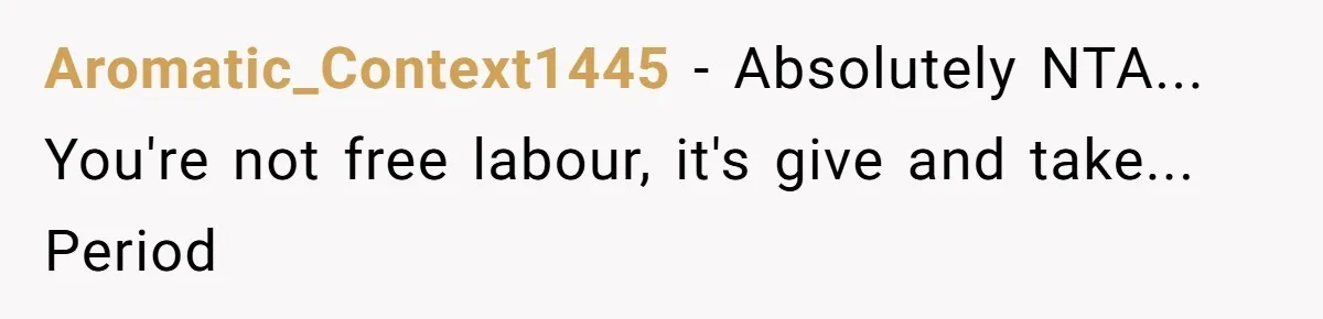 Aromatic_Context1445 − Absolutely NTA... You're not free labour, it's give and take... Period