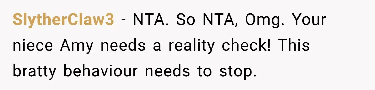 SlytherClaw3 − NTA. So NTA, Omg. Your niece Amy needs a reality check! This bratty behaviour needs to stop.