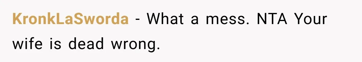 KronkLaSworda − What a mess. NTA Your wife is dead wrong.