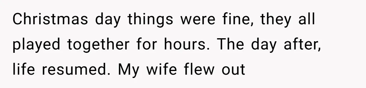 Christmas day things were fine, they all played together for hours. The day after, life resumed. My wife flew out