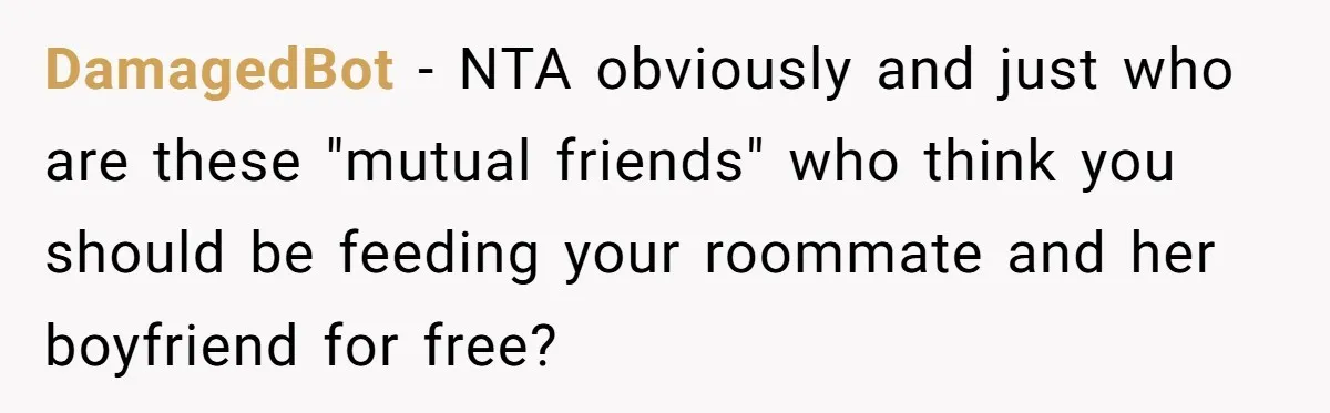 DamagedBot − NTA obviously and just who are these "mutual friends" who think you should be feeding your roommate and her boyfriend for free?