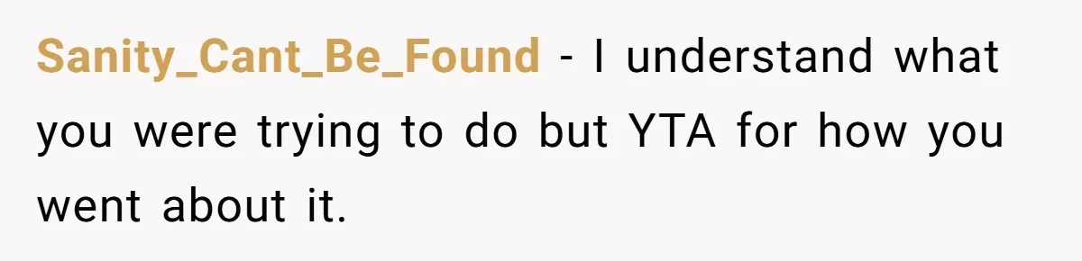 Sanity_Cant_Be_Found − I understand what you were trying to do but YTA for how you went about it.