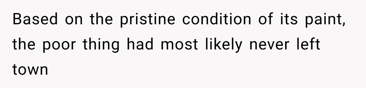 Based on the pristine condition of its paint, the poor thing had most likely never left town