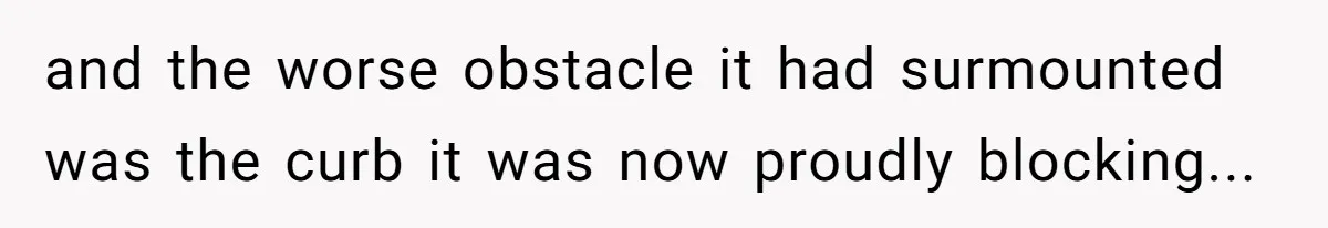 and the worse obstacle it had surmounted was the curb it was now proudly blocking...