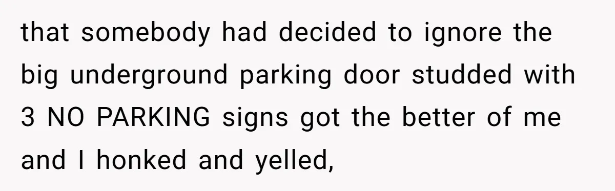 that somebody had decided to ignore the big underground parking door studded with 3 NO PARKING signs got the better of me and I honked and yelled,