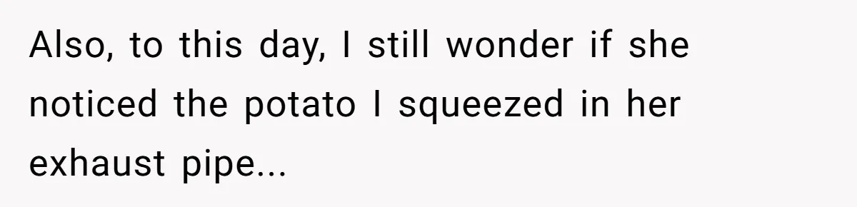 Also, to this day, I still wonder if she noticed the potato I squeezed in her exhaust pipe...