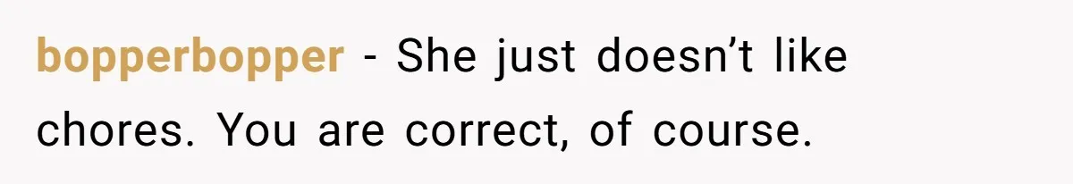 Stay-At-Home Dad Keeps Old Chore Chart, Wife Says Working Full Time Changes Everything bopperbopper − She just doesn’t like chores. You are correct, of course.