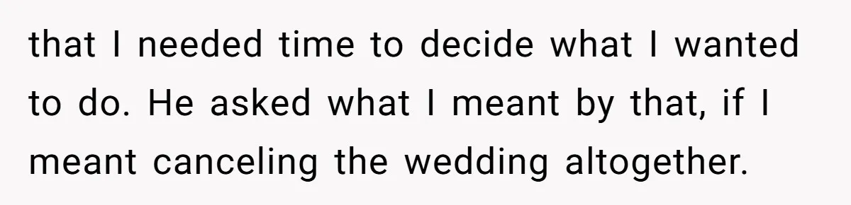 that I needed time to decide what I wanted to do. He asked what I meant by that, if I meant canceling the wedding altogether.