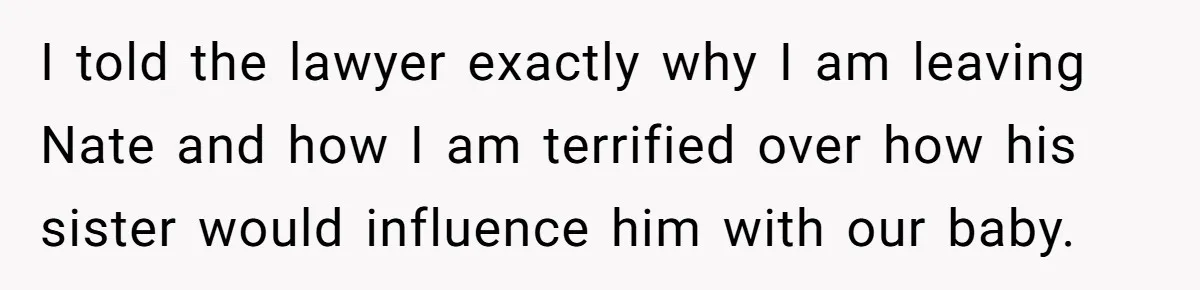 I told the lawyer exactly why I am leaving Nate and how I am terrified over how his sister would influence him with our baby.