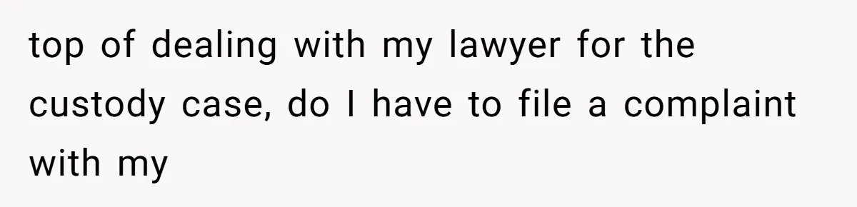 top of dealing with my lawyer for the custody case, do I have to file a complaint with my