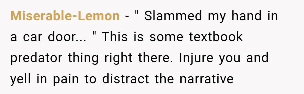 Miserable-Lemon − " Slammed my hand in a car door... " This is some textbook predator thing right there. Injure you and yell in pain to distract the narrative