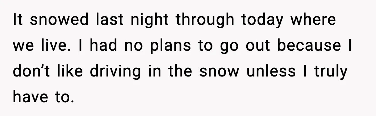 It snowed last night through today where we live. I had no plans to go out because I don’t like driving in the snow unless I truly have to.