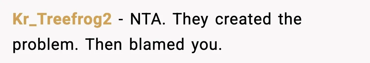 Kr_Treefrog2 - NTA. They created the problem. Then blamed you.
