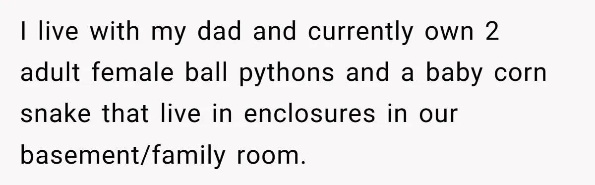 I live with my dad and currently own 2 adult female ball pythons and a baby corn snake that live in enclosures in our basement/family room.