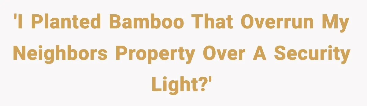 'I planted Bamboo that overrun my neighbors property over a security light?'