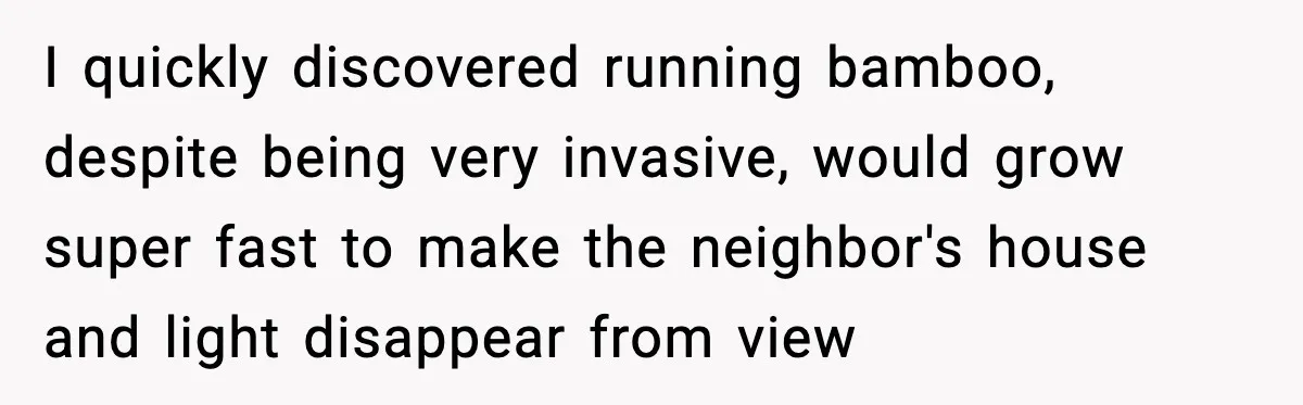 I quickly discovered running bamboo, despite being very invasive, would grow super fast to make the neighbor's house and light disappear from view