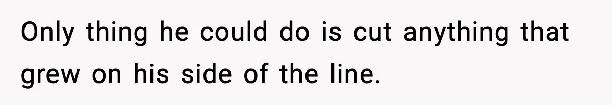 Only thing he could do is cut anything that grew on his side of the line.
