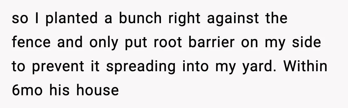 so I planted a bunch right against the fence and only put root barrier on my side to prevent it spreading into my yard. Within 6mo his house