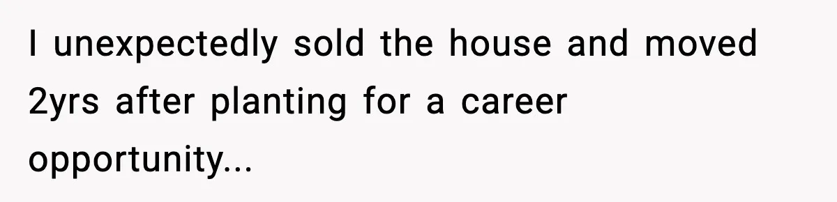 I unexpectedly sold the house and moved 2yrs after planting for a career opportunity...