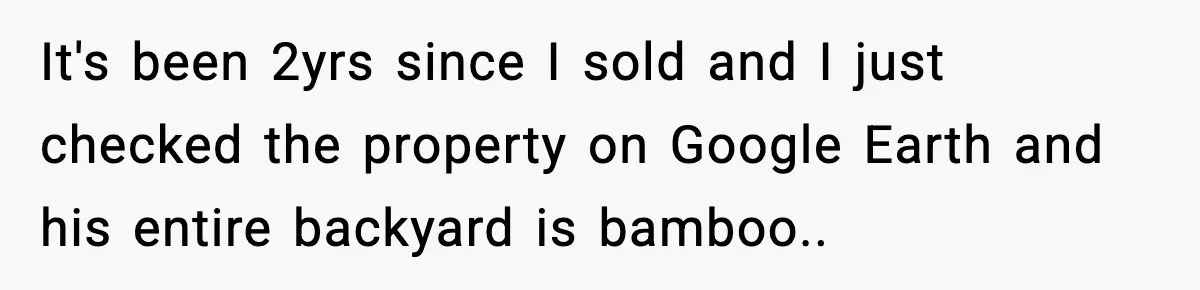 It's been 2yrs since I sold and I just checked the property on Google Earth and his entire backyard is bamboo..