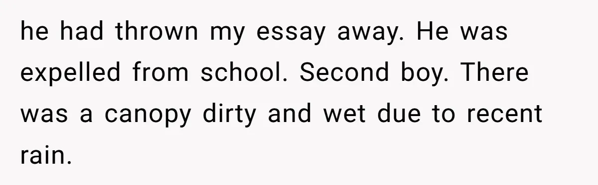 he had thrown my essay away. He was expelled from school. Second boy. There was a canopy dirty and wet due to recent rain.