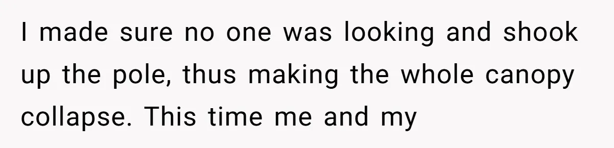 I made sure no one was looking and shook up the pole, thus making the whole canopy collapse. This time me and my