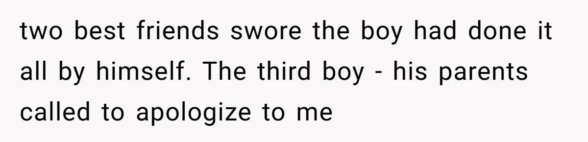 two best friends swore the boy had done it all by himself. The third boy - his parents called to apologize to me