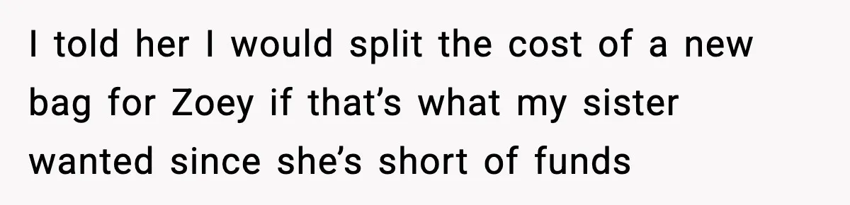 I told her I would split the cost of a new bag for Zoey if that’s what my sister wanted since she’s short of funds