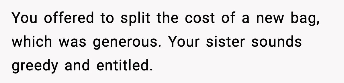 You offered to split the cost of a new bag, which was generous. Your sister sounds greedy and entitled.