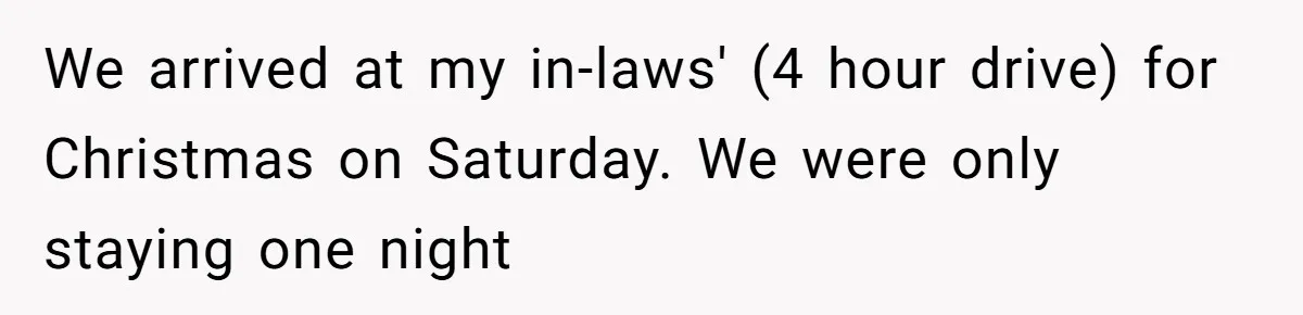 We arrived at my in-laws' (4 hour drive) for Christmas on Saturday. We were only staying one night